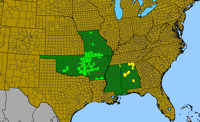 The range of Tradescantia ernestiana